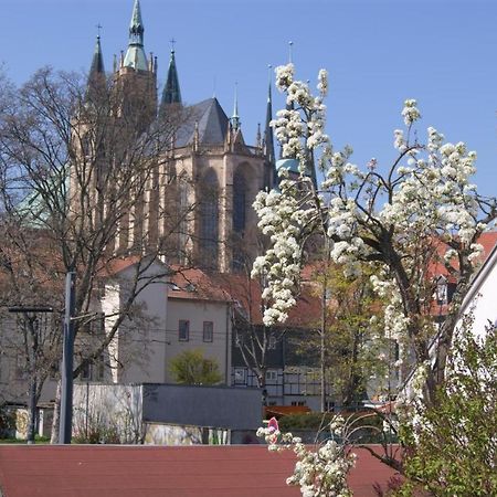 Hotelpension Am Dom Erfurt Luaran gambar